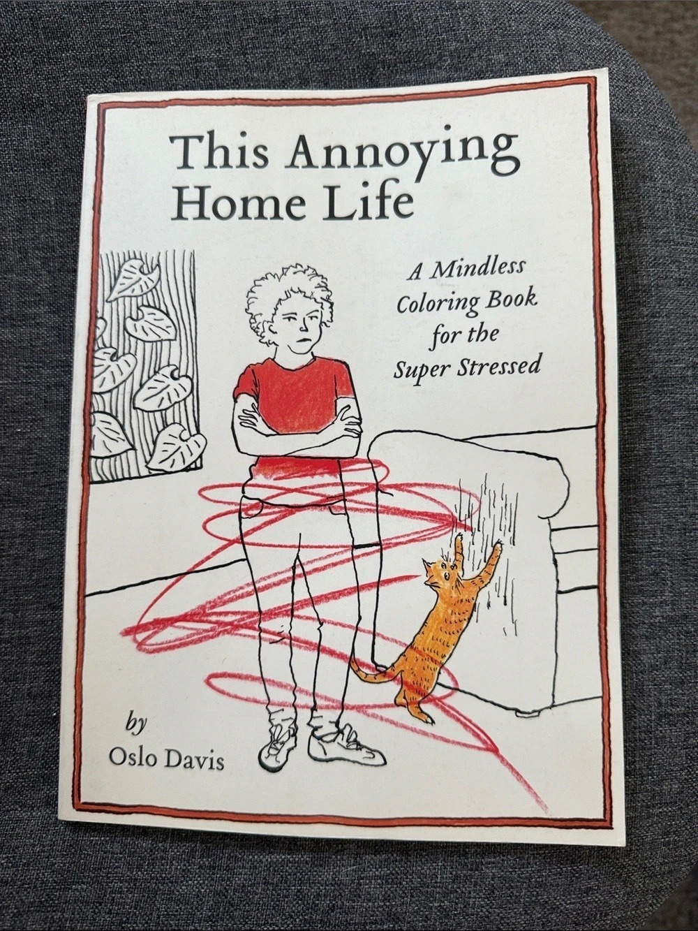 Workman Publishing This Annoying Home Life: A Mindless Coloring Book for the